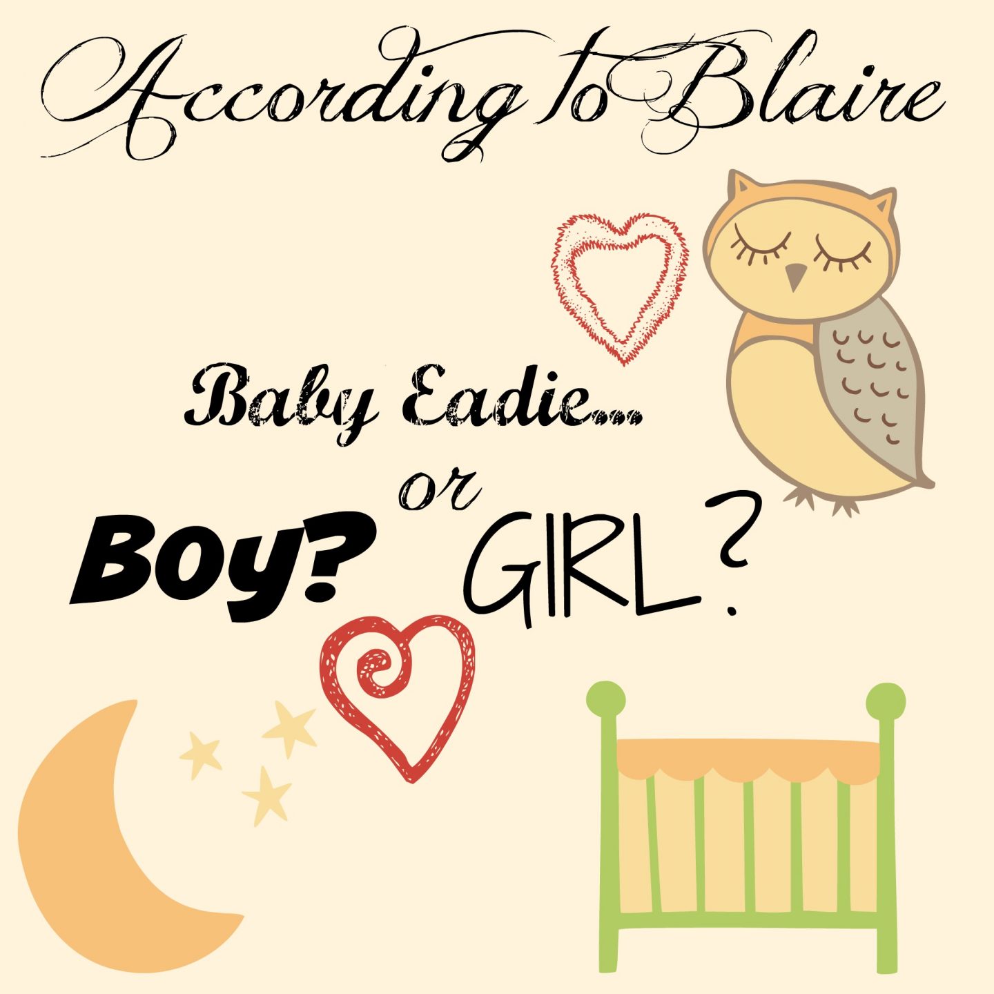 Is Baby Eadie #2 a Boy or a Girl? Gender Reveal & Luv It Feature